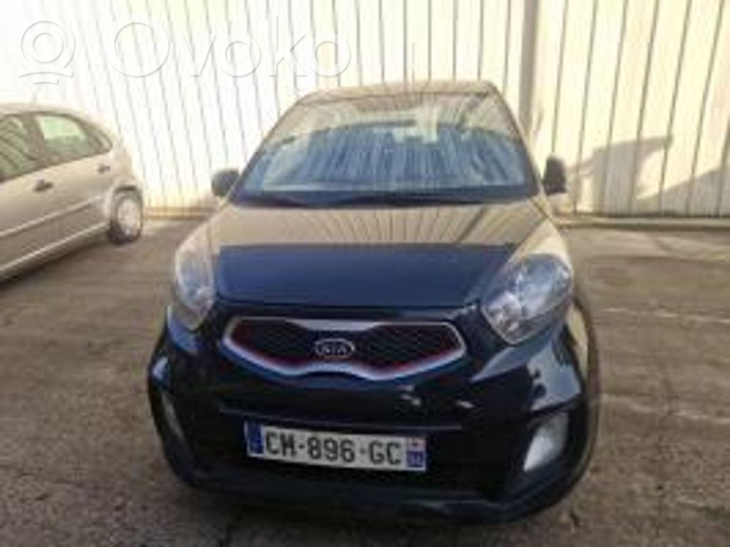 Picanto Picanto  972501Y100ASB