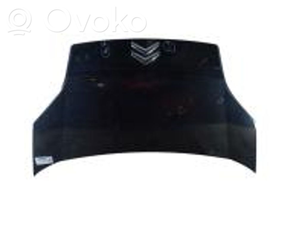 Nemo Nemo  1685064180