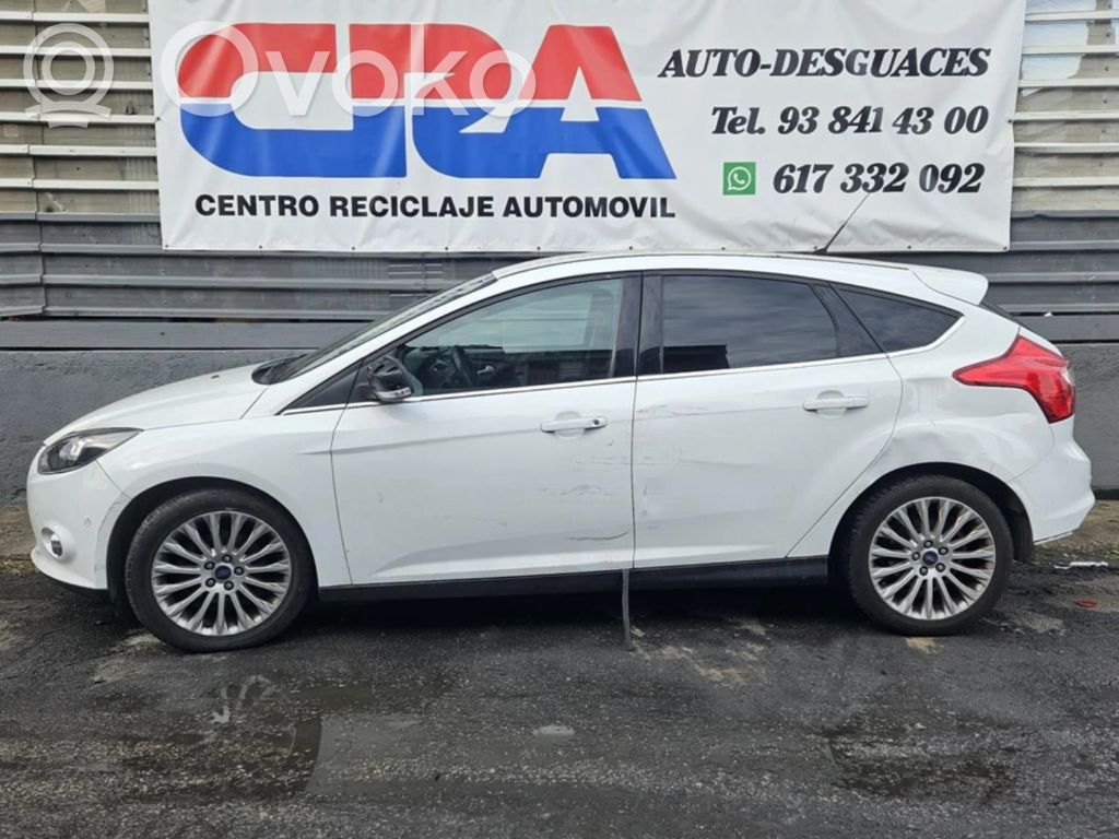 Focus Focus  AV613B436HA