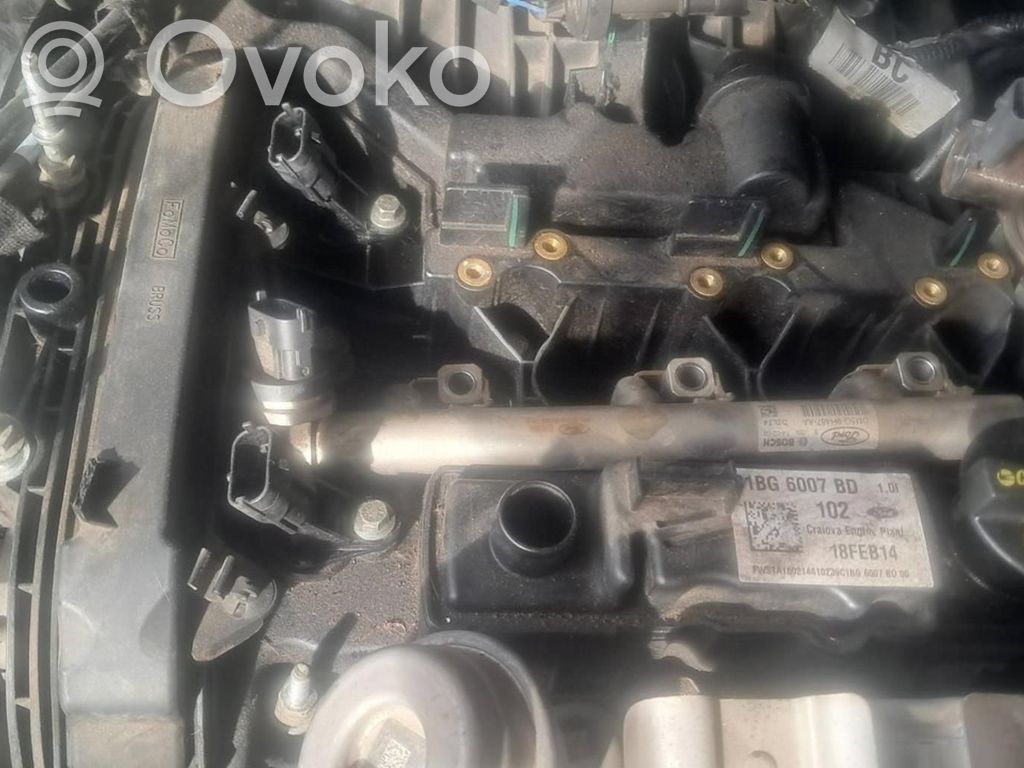 B-MAX B-MAX  CV616C784AE
