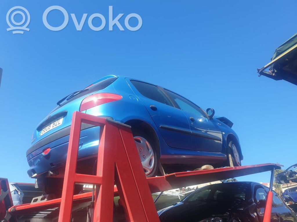 206+ 206, 206+  9648836480