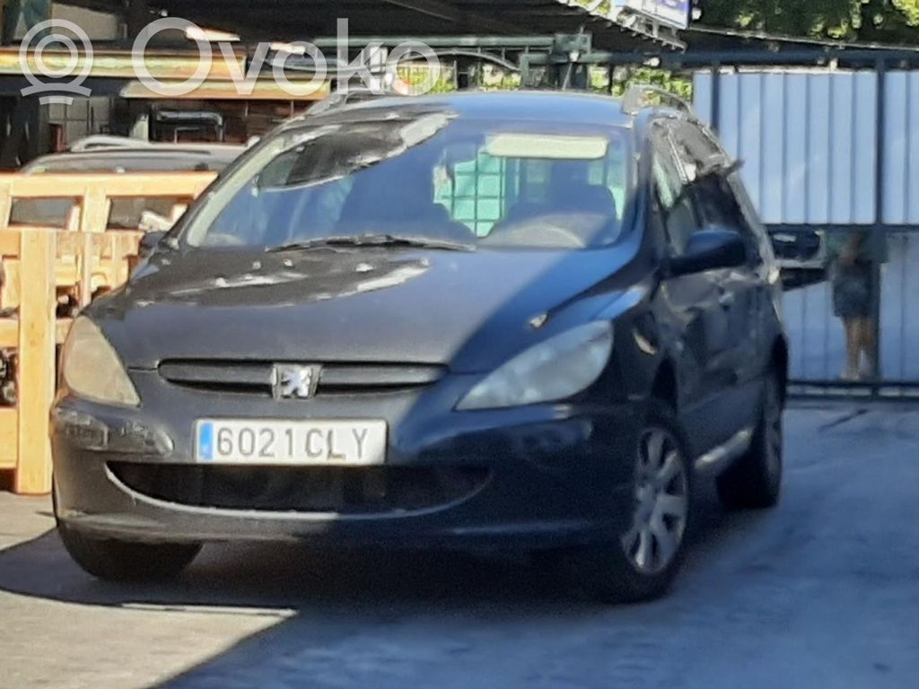 307 307  9647155580