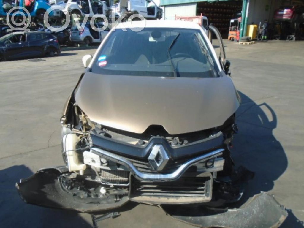 Captur Captur  488108509R