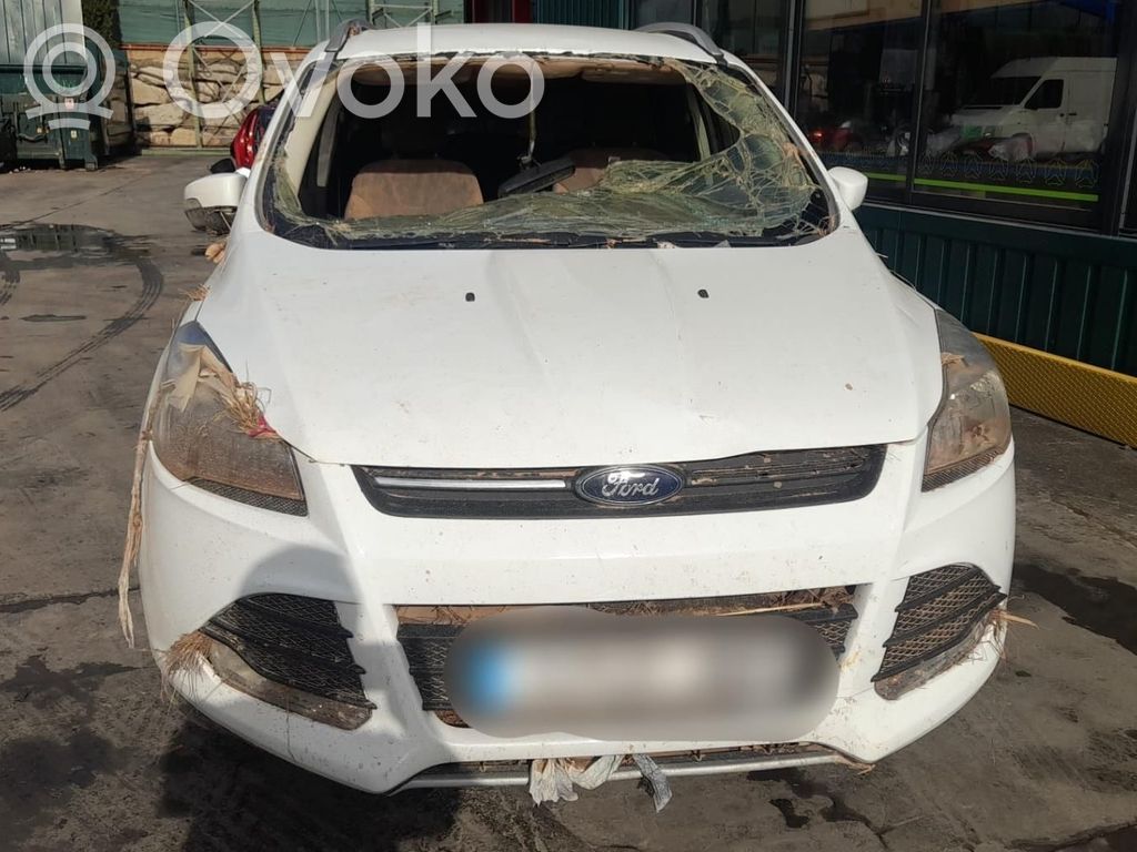 Kuga I Kuga  1785410