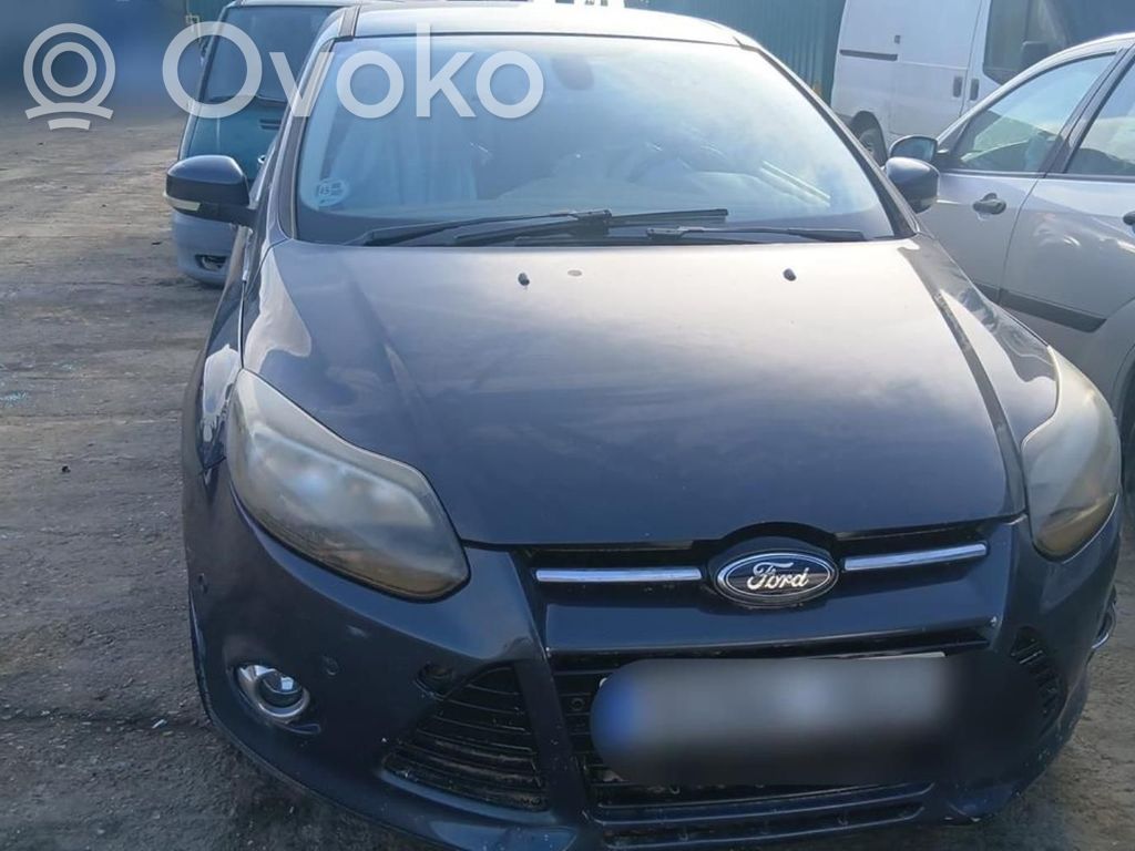 Focus Focus  1731174