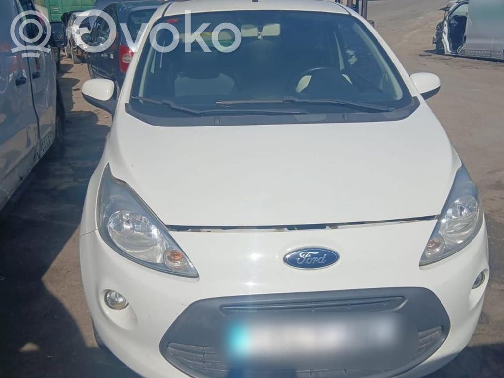 Ka Ka  1542365