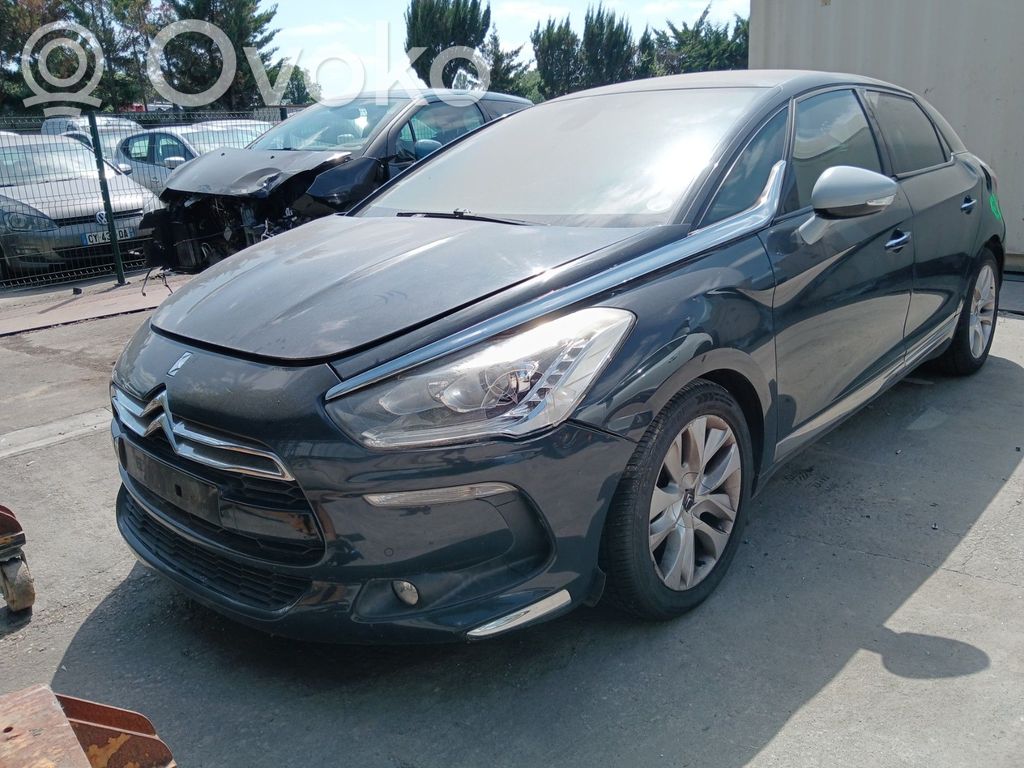 DS5 DS5