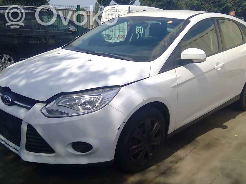 Focus Focus  1946094