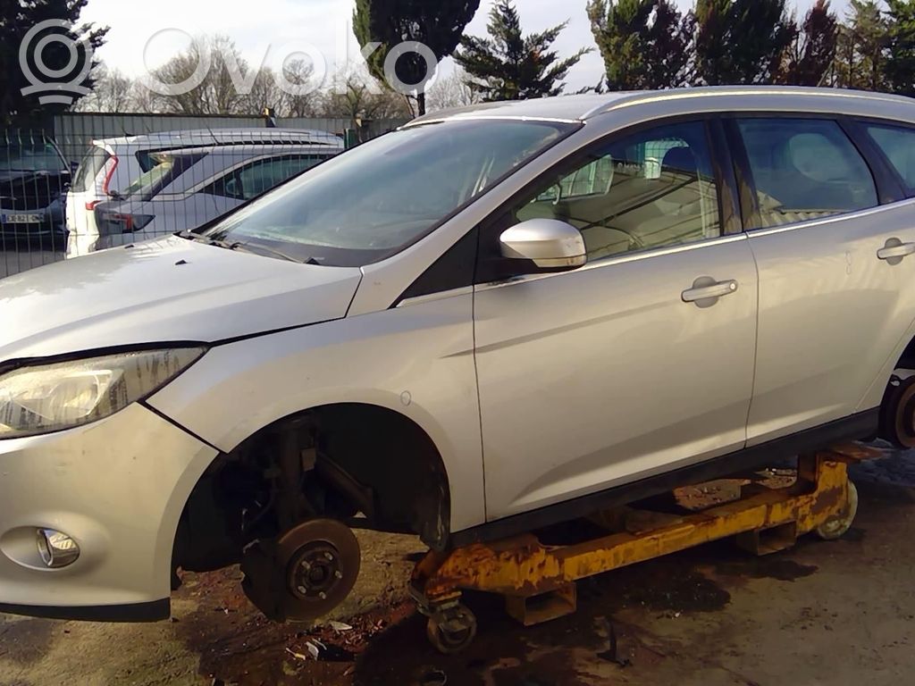 Focus Focus  1785519