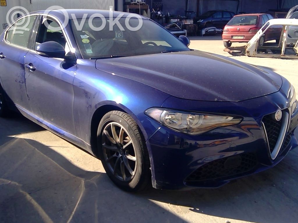 Giulia Giulia  50549838