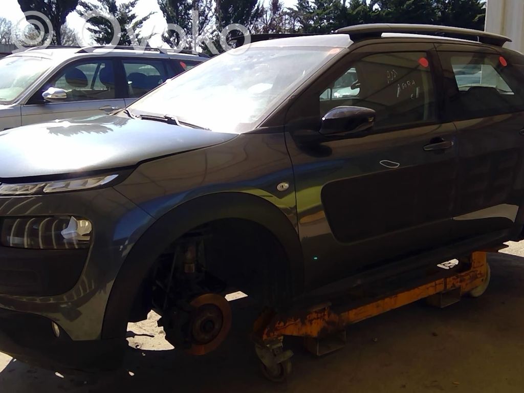 C4 Cactus C4 Picasso, Grand Picasso, Aircross, Cactus  9800916080