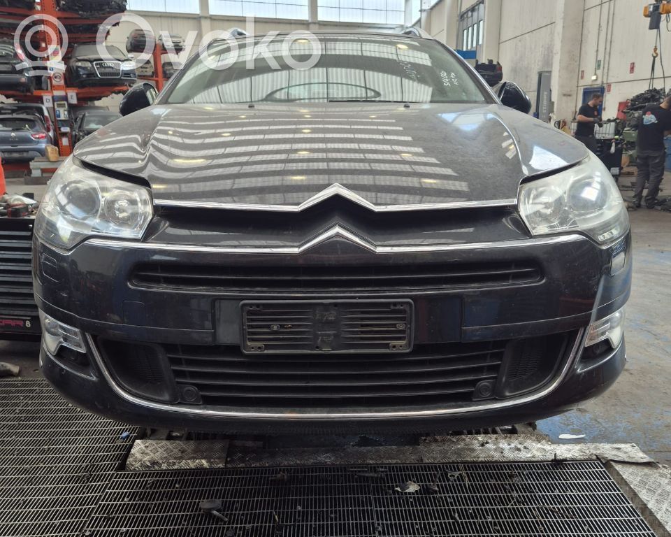 C5 C5, C5 Aircross  9673195480