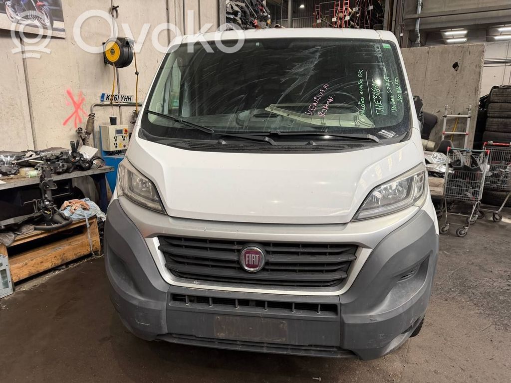 Ducato Ducato