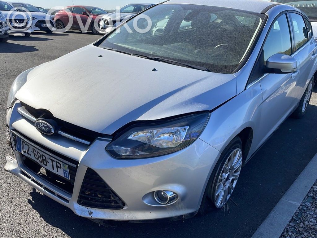 Focus Focus  2014481