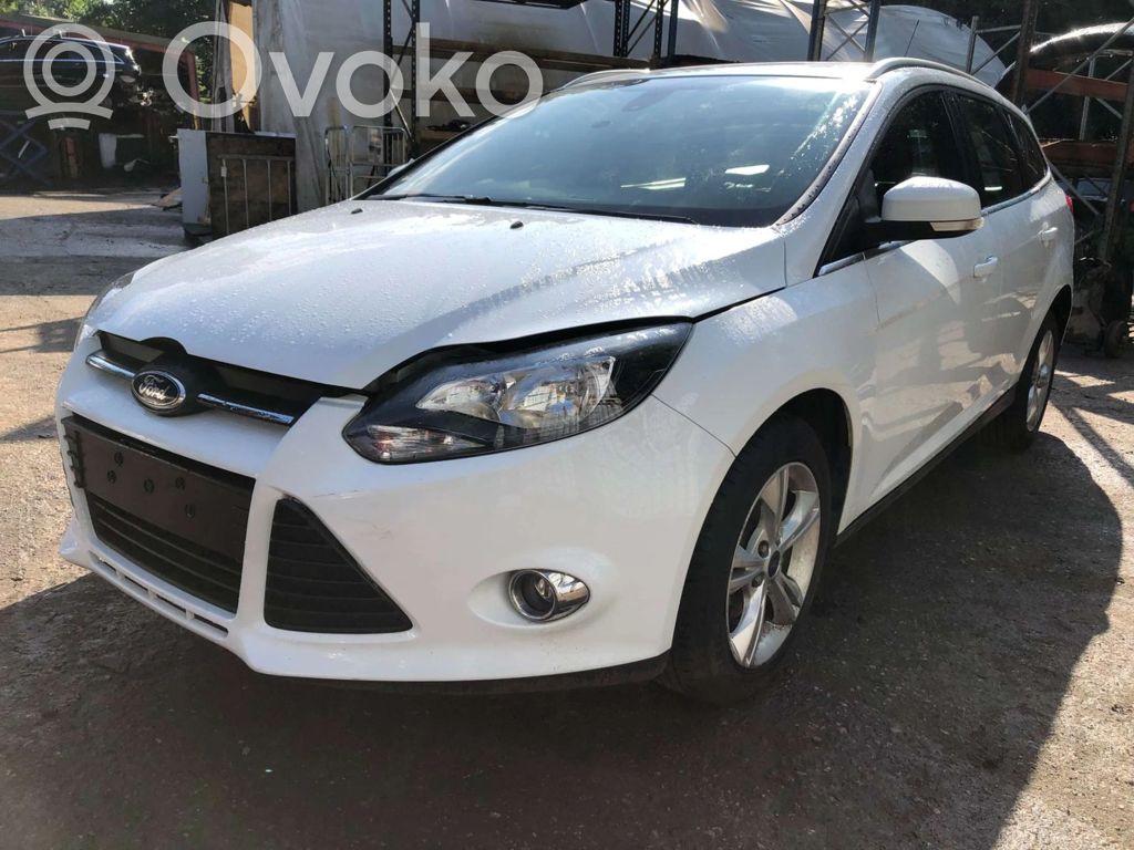 Focus Focus  T1DB
