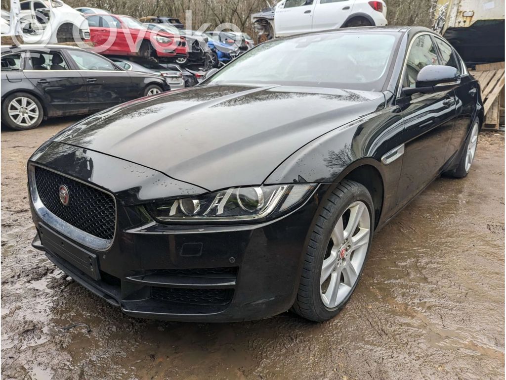 XE XE  GX736K775AB