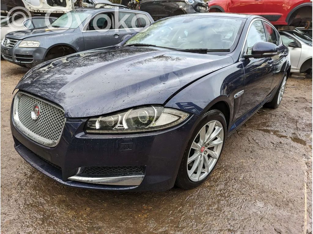 XF XF  DX23F611B68AB