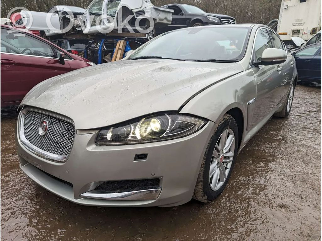 XF XF  CX239D375BA