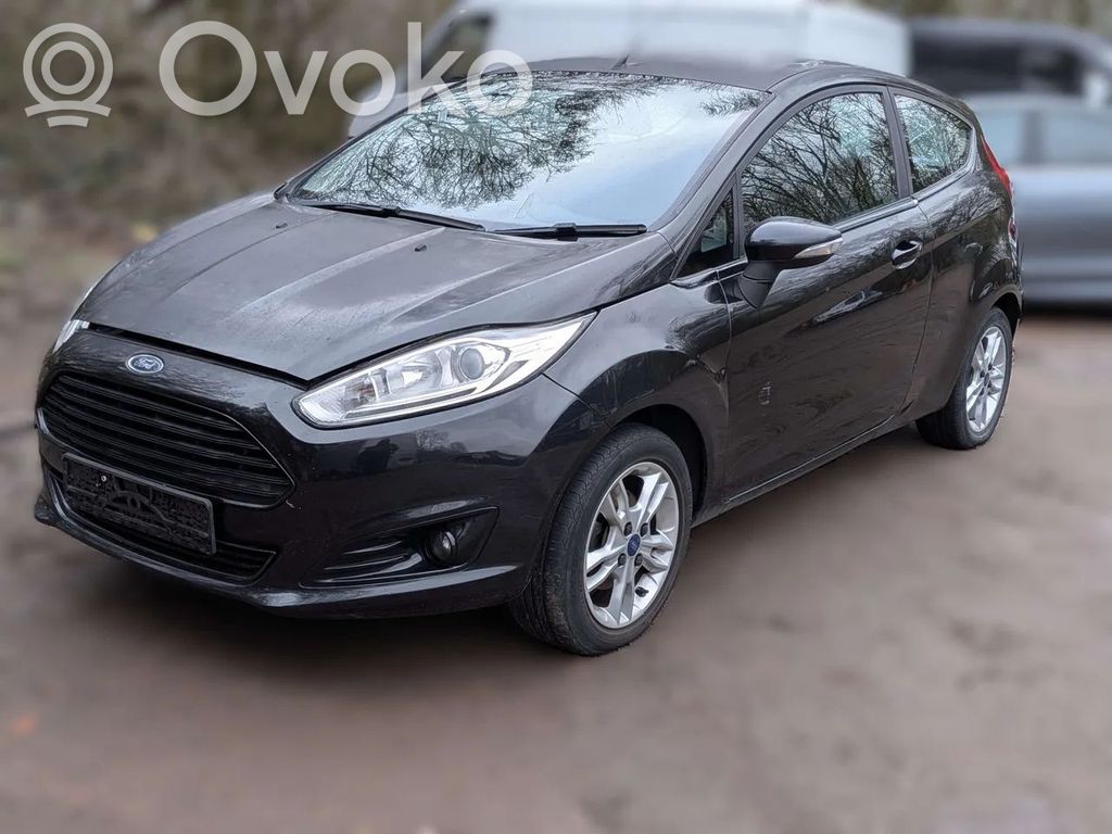 Fiesta Fiesta  C1BB3600EA