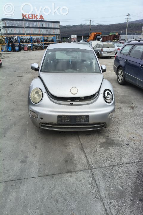 New Beetle Beetle