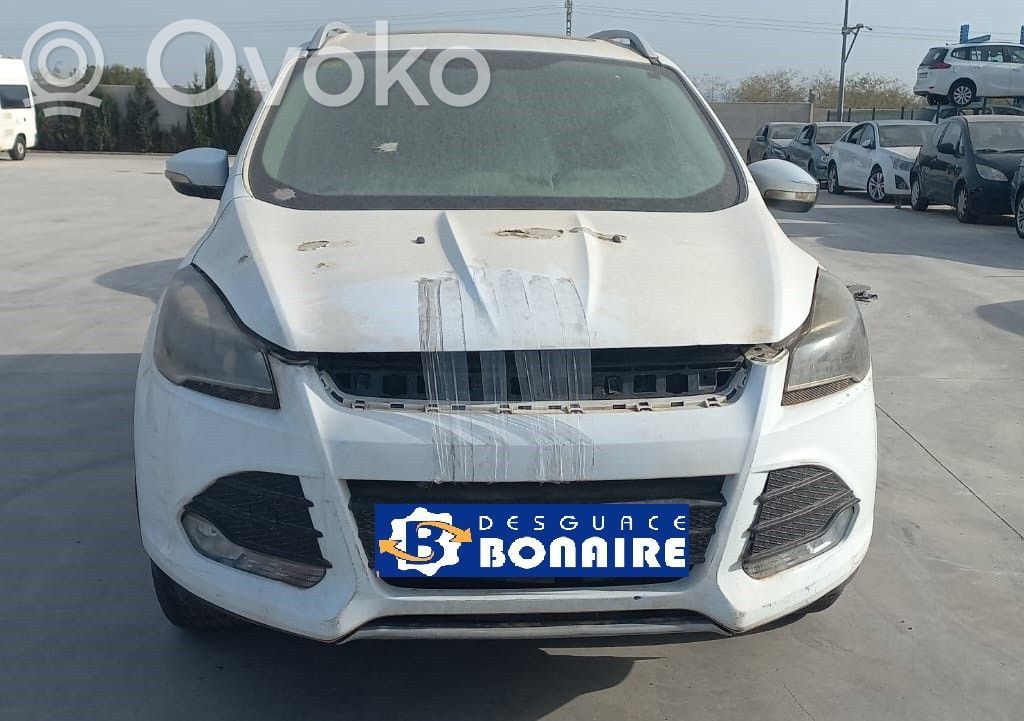 Kuga II Kuga  2024978