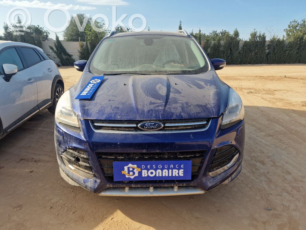Kuga II Kuga  2420515