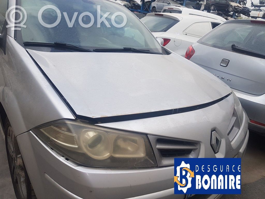 Megane II Megane  H8200347344