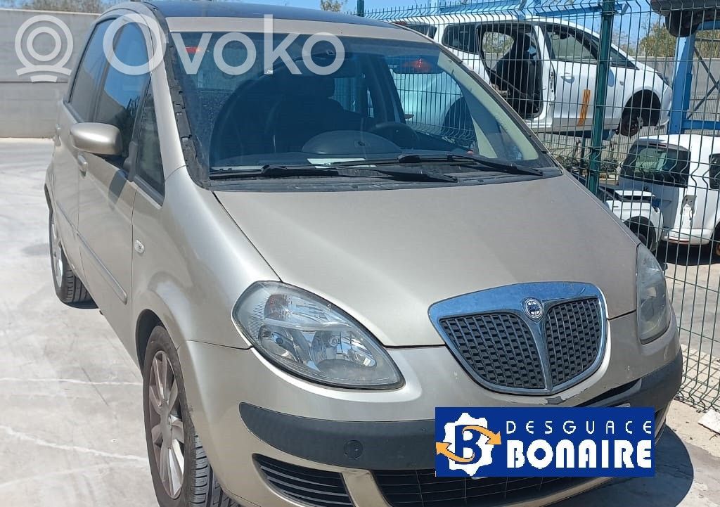 Musa Musa  55200145