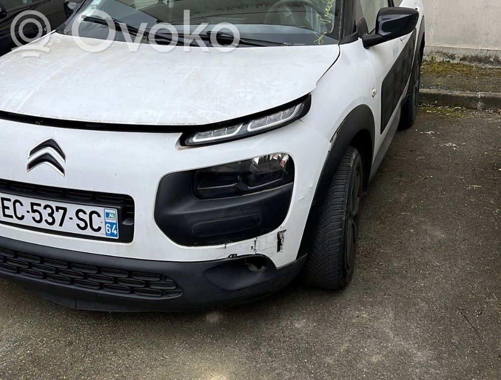 C4 Cactus C4 Picasso, Grand Picasso, Aircross, Cactus  96673722ZD