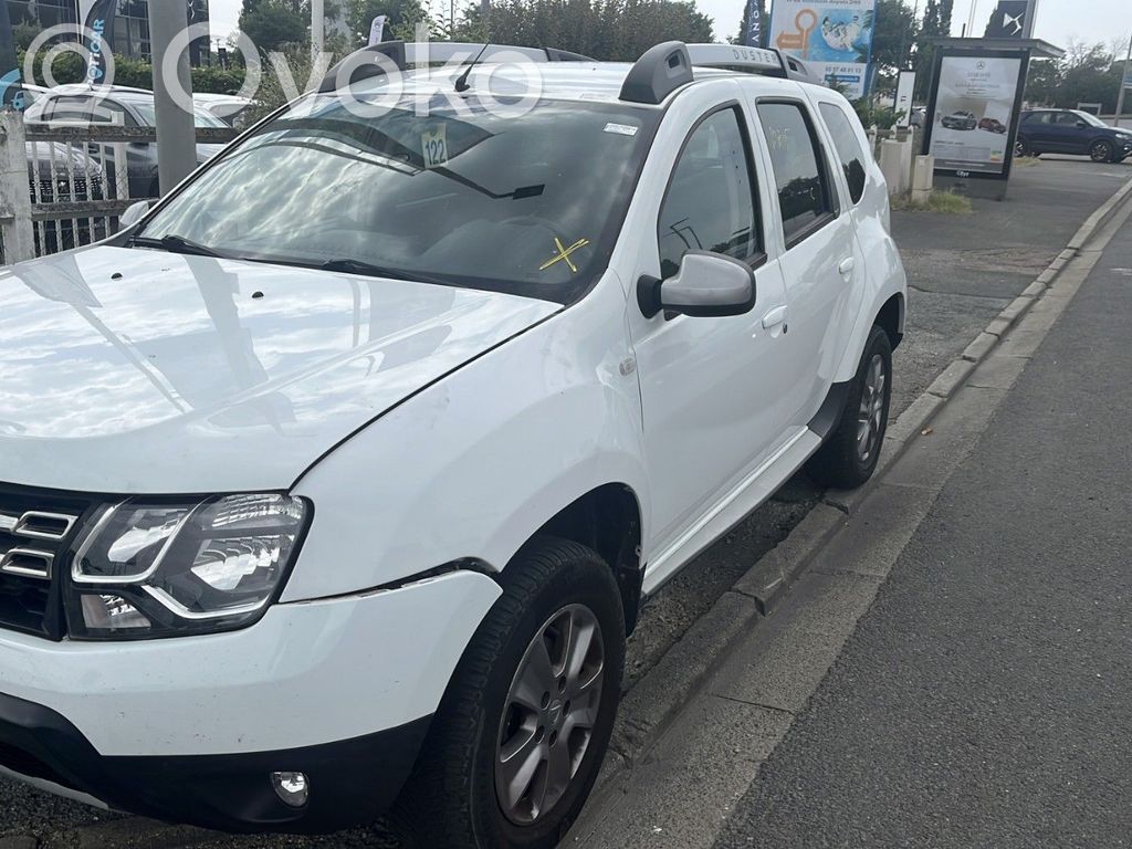 Duster Duster  254217475R