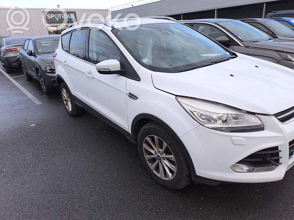 Kuga II Kuga  1787266