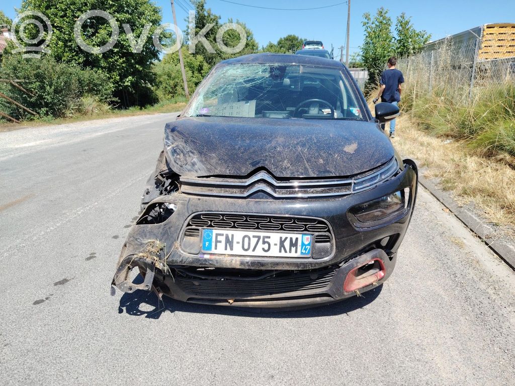 C4 Cactus C4 Picasso, Grand Picasso, Aircross, Cactus  1671206880