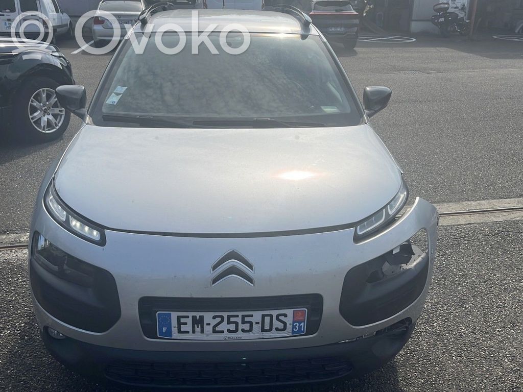 C4 Cactus C4 Picasso, Grand Picasso, Aircross, Cactus  1667025580