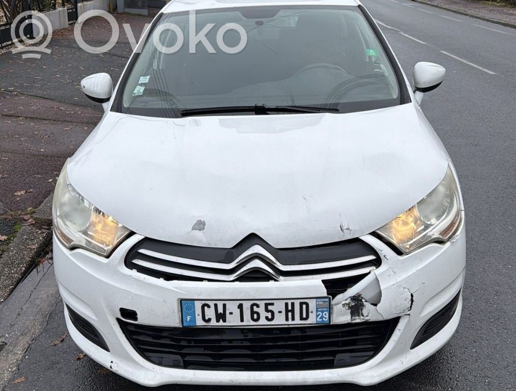 C4 II C4 Picasso, Grand Picasso, Aircross, Cactus  1635517180