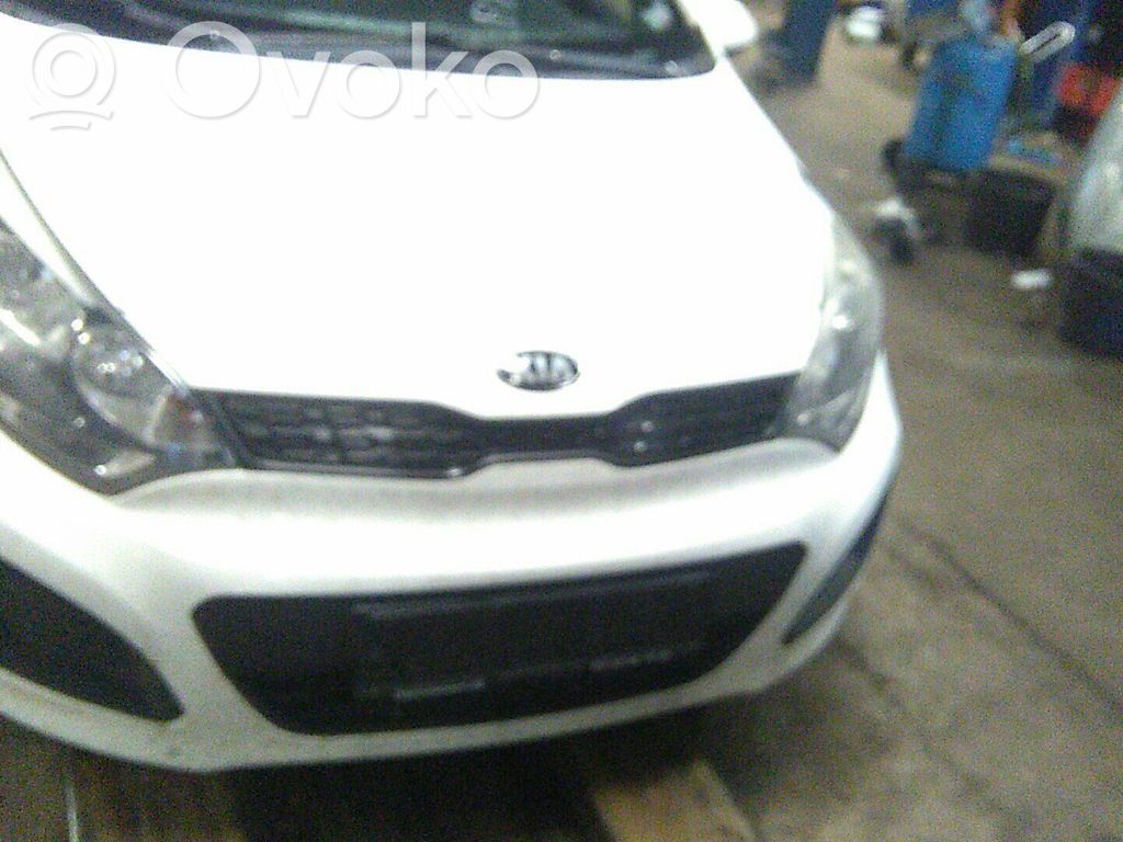 Rio Rio  391302A271