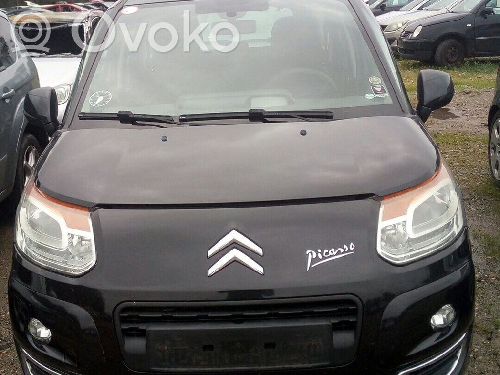 C3 Picasso C3, Pluriel, Picasso