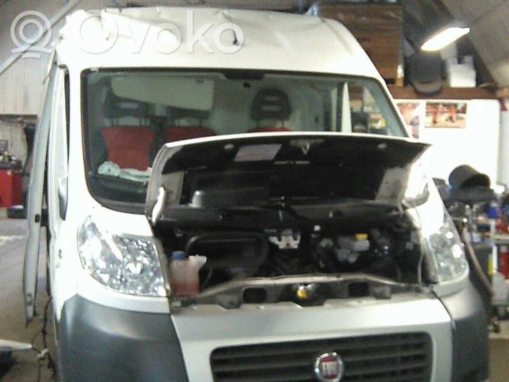 Ducato Ducato  1363378080