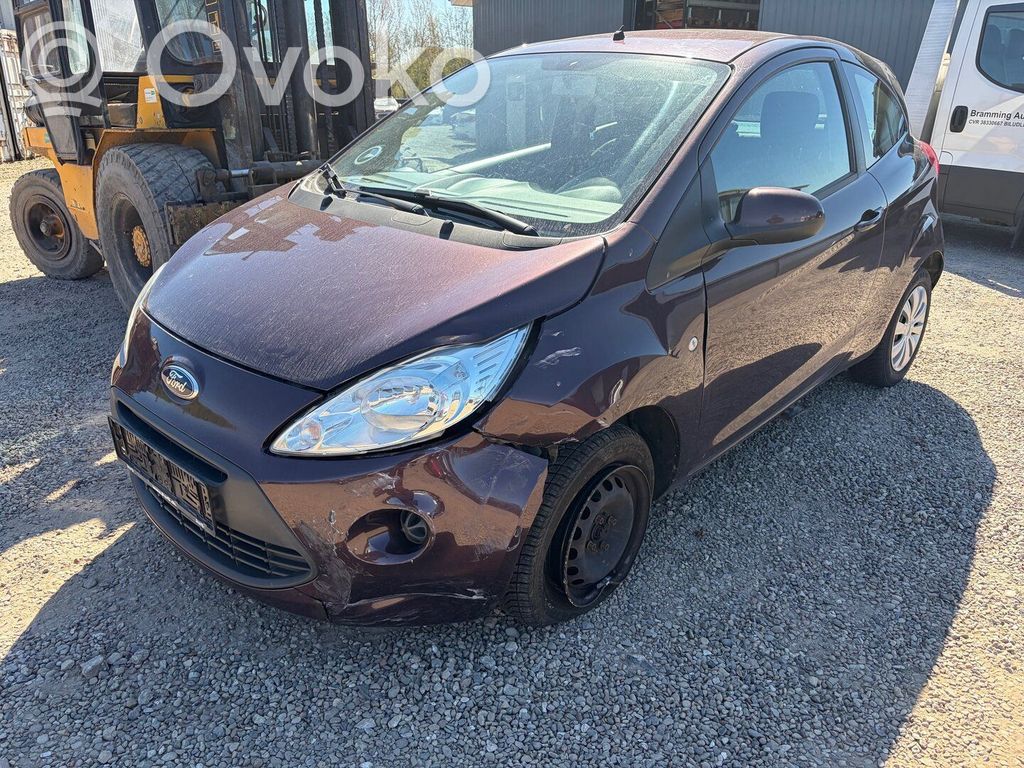 Ka Ka  2343381