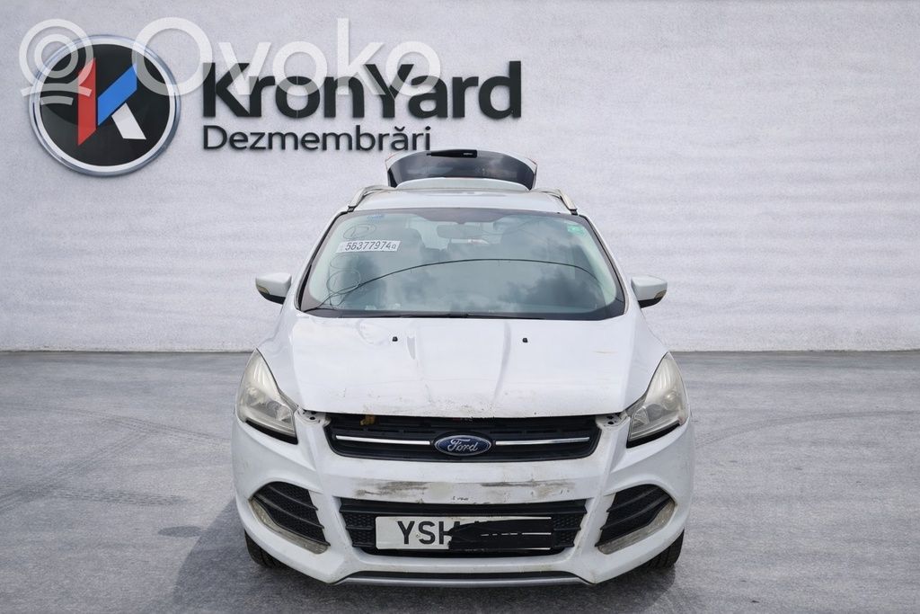Kuga II Kuga
