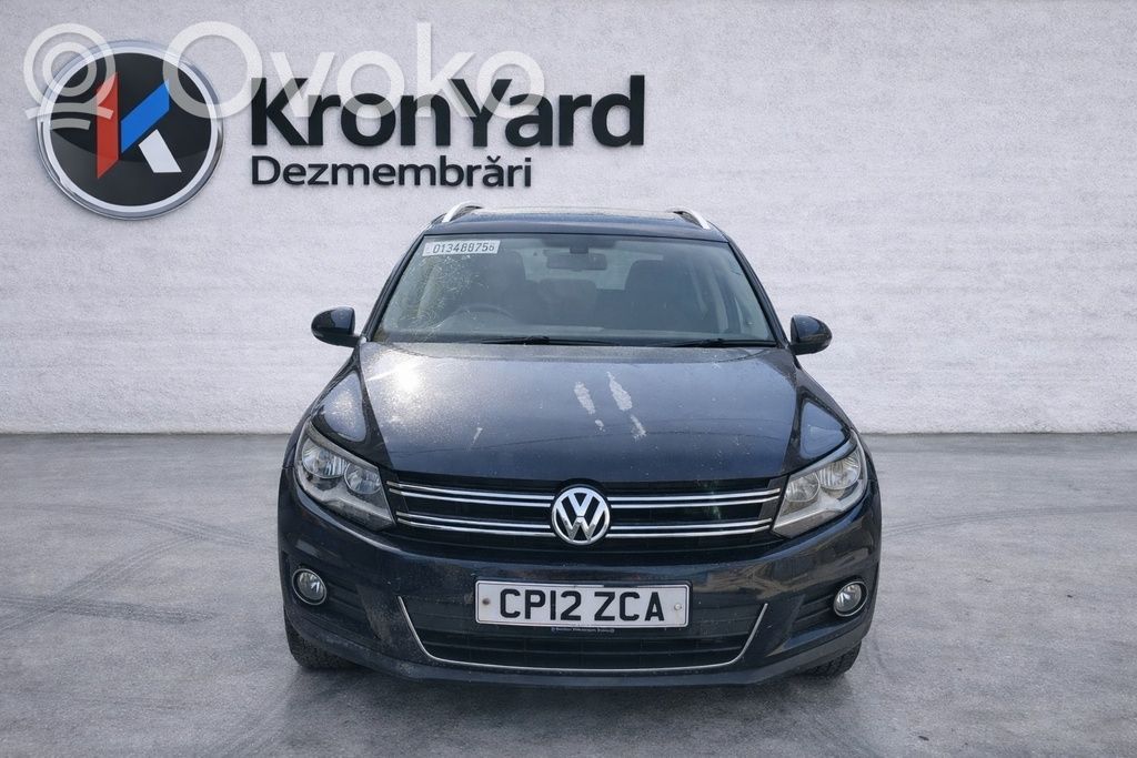 Tiguan Tiguan