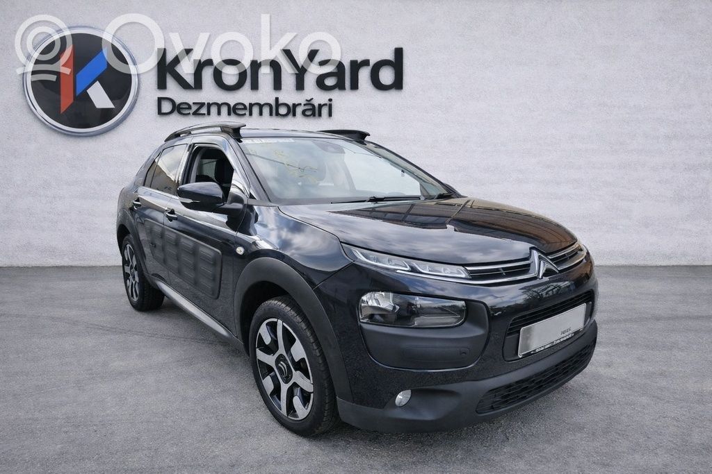 C4 Cactus C4 Picasso, Grand Picasso, Aircross, Cactus