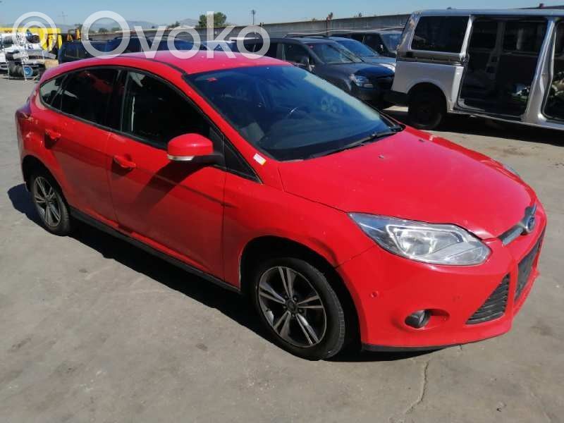 Focus Focus  1918796