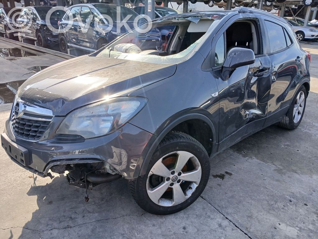 Mokka Mokka  13474055