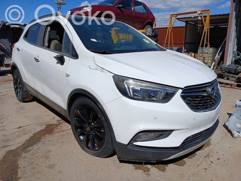 Mokka X Mokka  42543361
