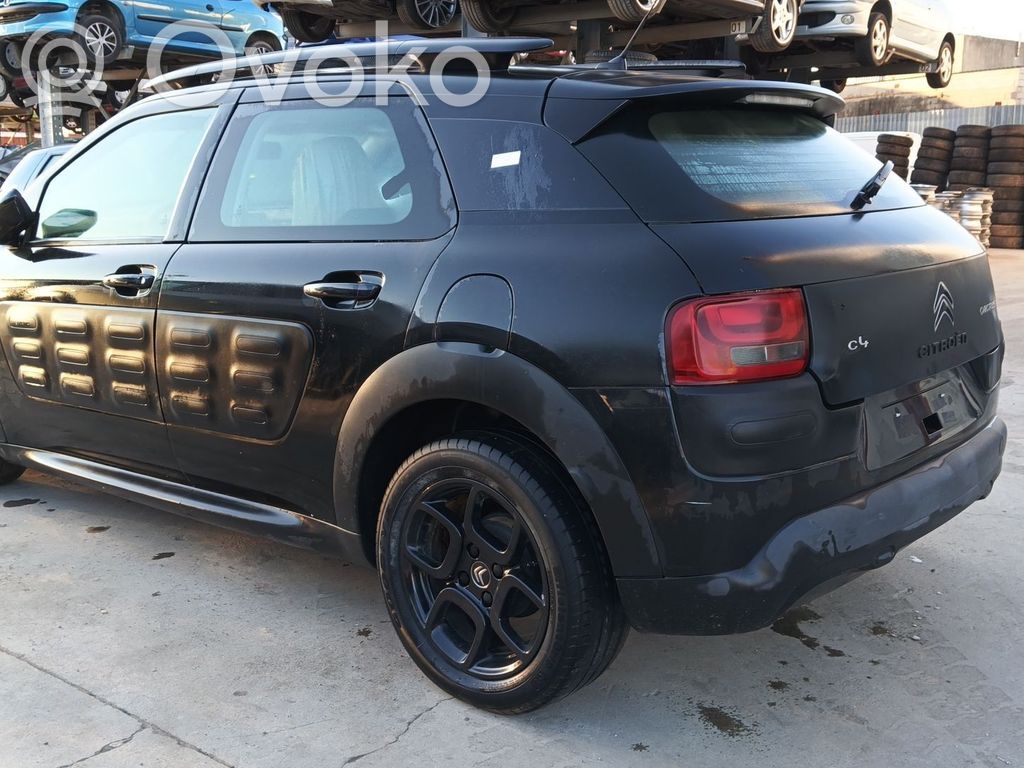 C4 Cactus C4 Picasso, Grand Picasso, Aircross, Cactus  9801741077