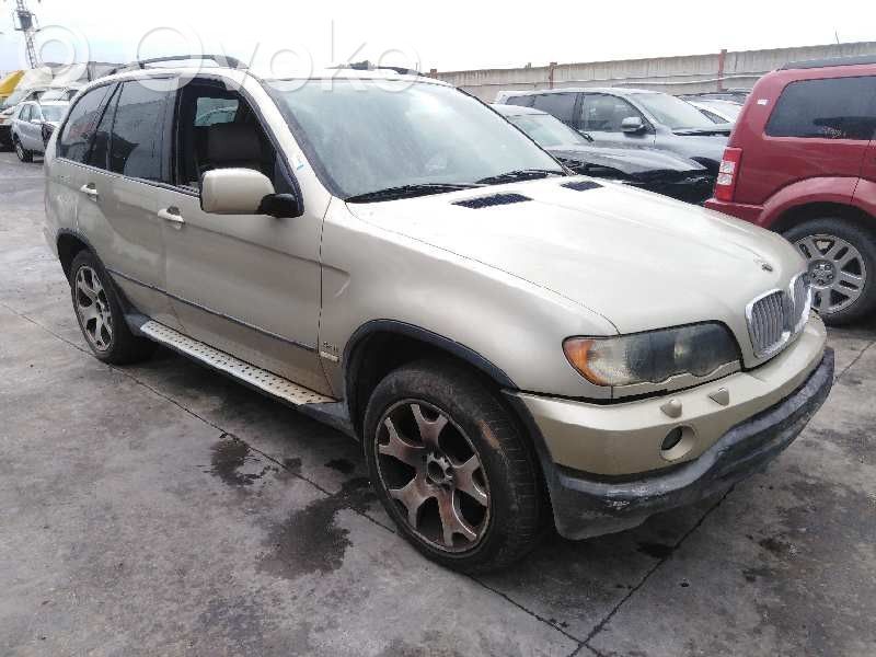 X5 E53 X5  6907395