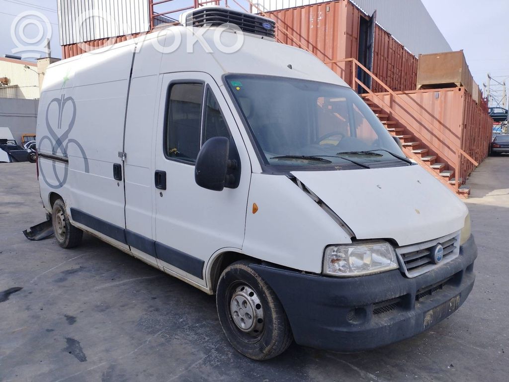 Ducato Ducato