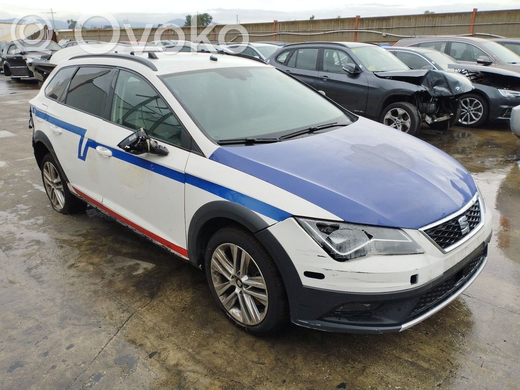 Leon (5F) Leon  5F0809958E