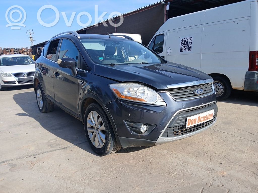 Kuga I Kuga  1544518
