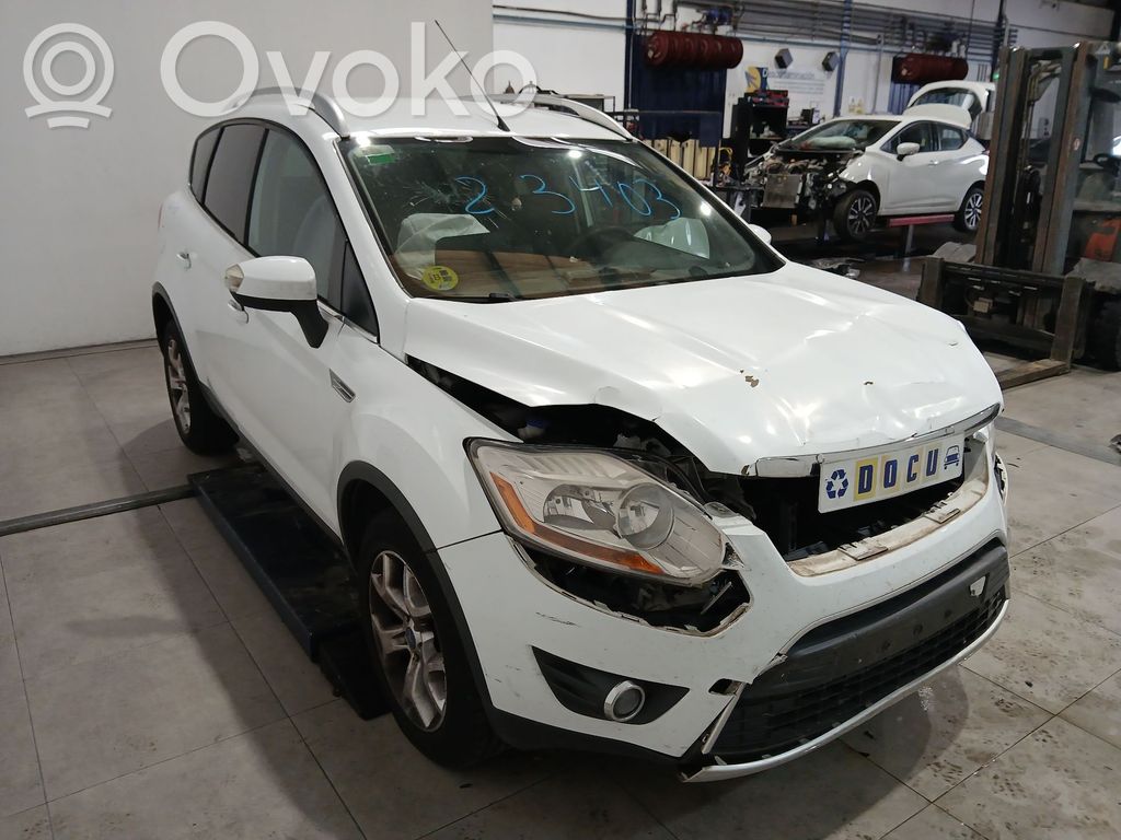 Kuga I Kuga  1721597